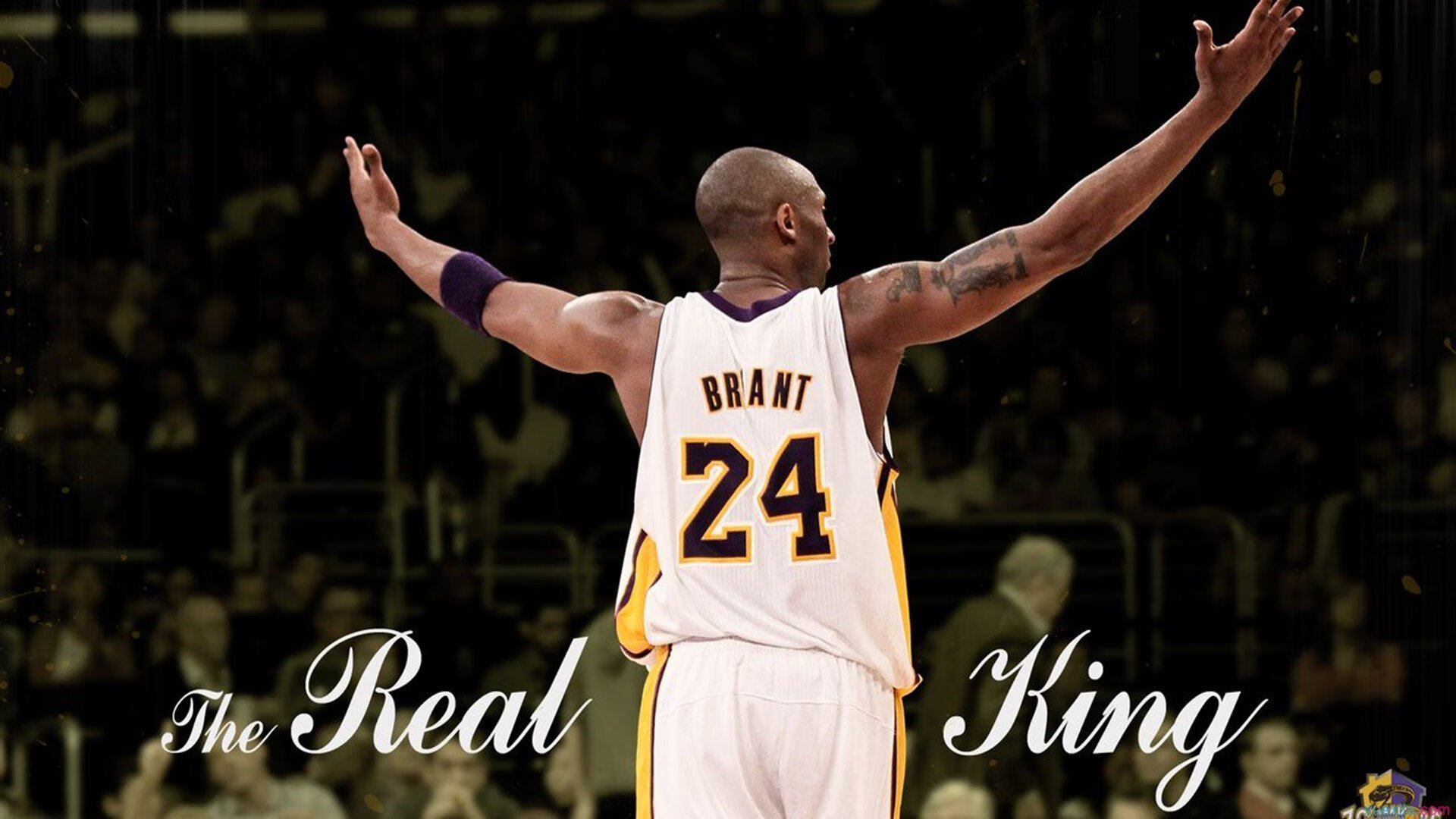 中小学篮球活动纳入城市体育节提升活动层级，中小学篮球现状